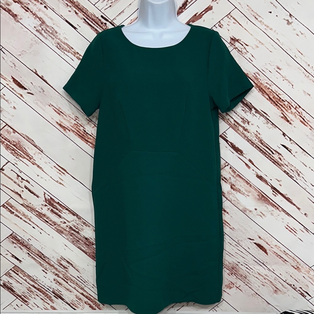 NWT Everly Elegant Green Midi Dress
